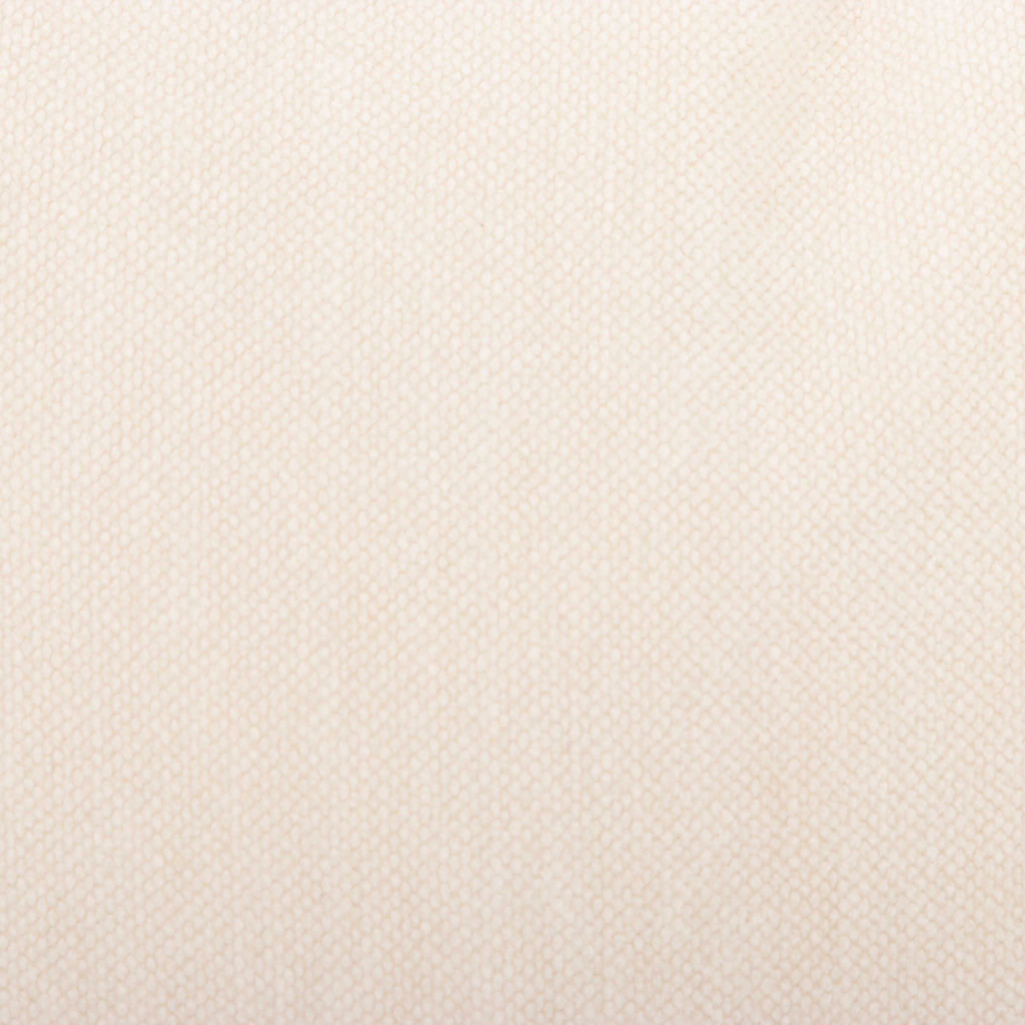 Cushion Canna - Feather Inner, Cream