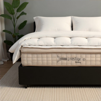 Size X487