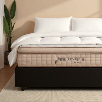 Size X487