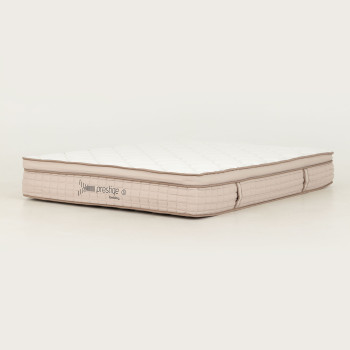 Size X487