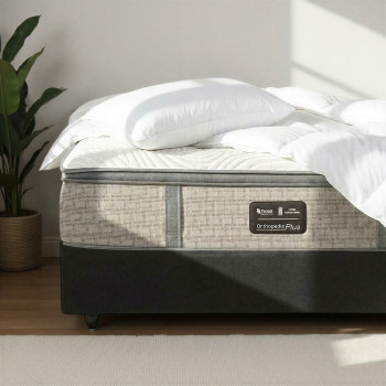 Size X334