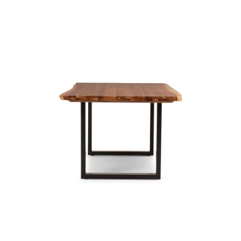 Tipaz Dining Table - W210